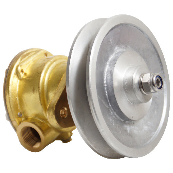 Pumpe med flange til motor st112