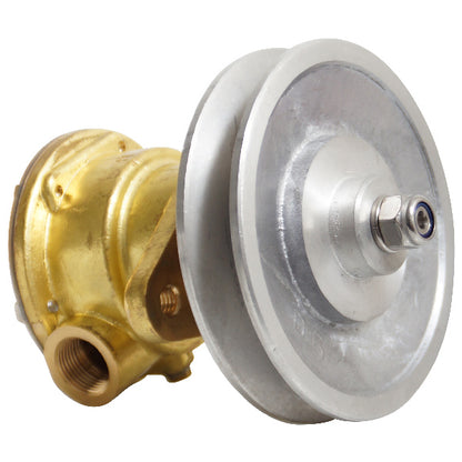 Pumpe med flange til motor st112